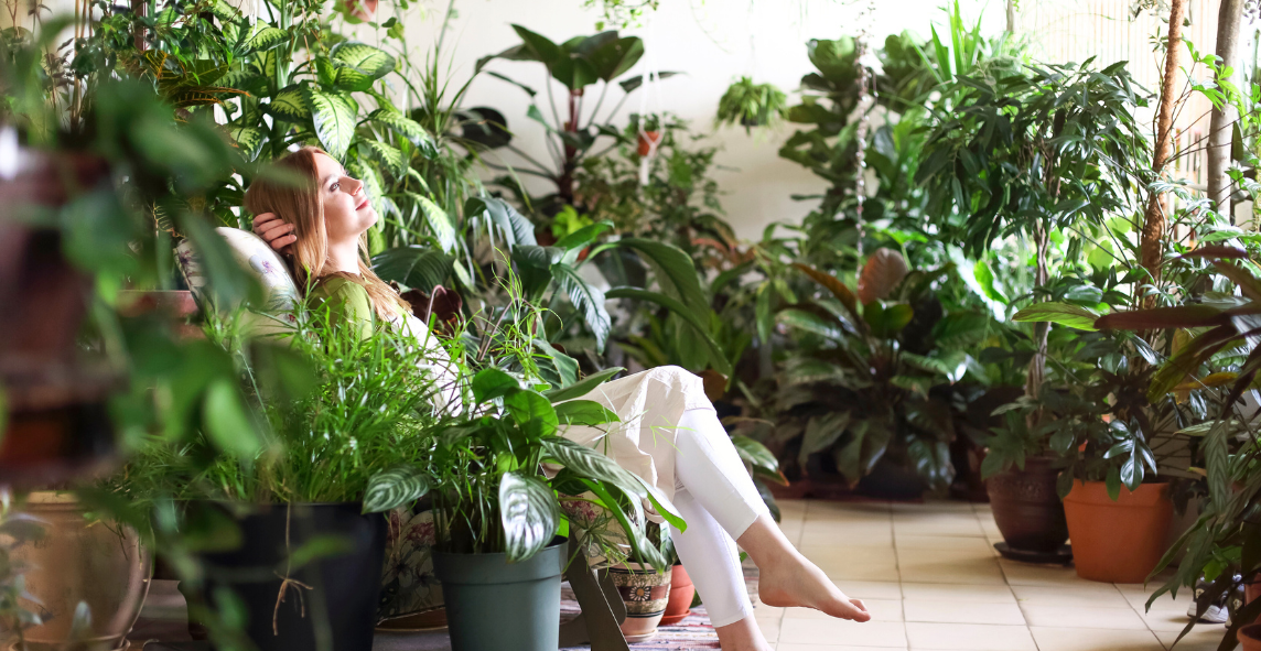 The best plants for your office